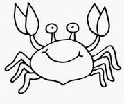 ����ѧ��ʻ���ѧ