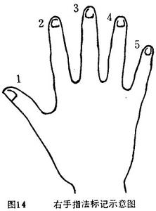 ������ָ��