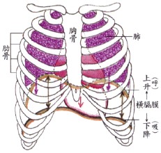 �º���������_��ѧ