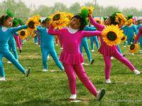 �ٶ��赸��Ƶ��ȫ