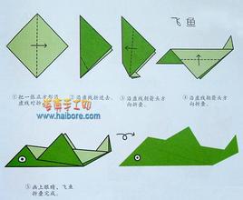 ����-��ֽ��ѧ