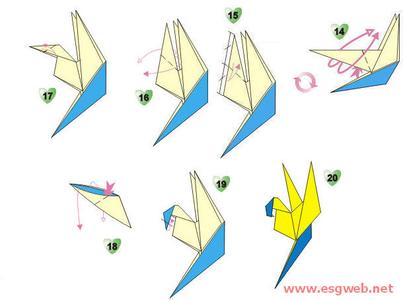 �����۷�-��ֽ��ѧ