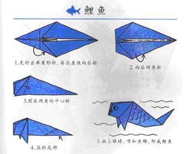 �����۷�-��ֽ��ѧ