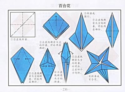 ��ܵ��۷�-��ֽ