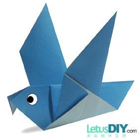 ���ӵ��۷�-��ֽ��ѧ