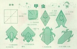 �׳���۷�-��ֽ��ѧ