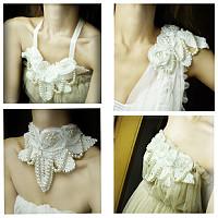 ɴ���ػ���֯��Ƶ