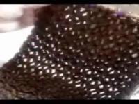 ������-֯����ѧ