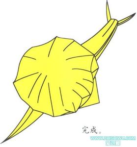 С��ţ���۷�-��ֽ��ѧ