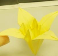 �ٺϻ����۷�-��ֽ��ѧ