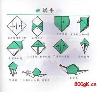 ��ţ���۷�-��ֽ��ѧ