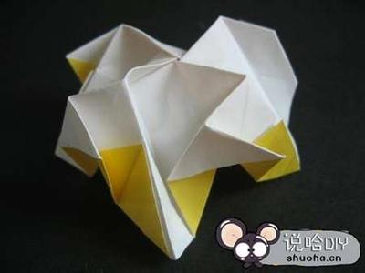 ����õ����۷�-��ֽ��ȫ