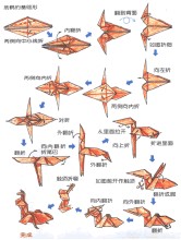 ��ֽ����-��ֽ��ȫ