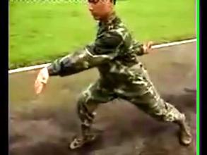 ����ȭ��ѧ��Ƶ