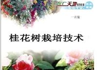 �����༼��