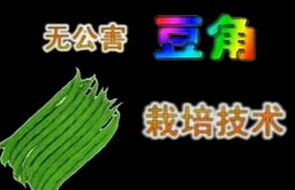 �޹����������༼��