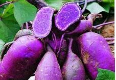 �ں������༼��