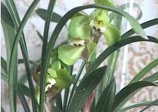 �й�������ֳ�����¼���