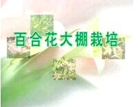 �ٺϻ�������ֲ����