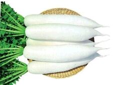 �����ܲ����༼����Ƶ