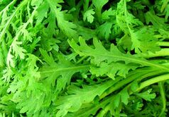 ������ֲ������Ƶ