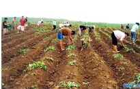 �������༼��