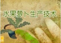 ˮ���ܲ���ֲ����