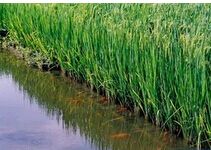 ���������¼���