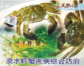 ��ˮϺз�����ۺϷ���