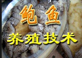 ������ֳ����