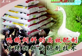 Ѽ�����ϵĸ�Ч���Ƽ���