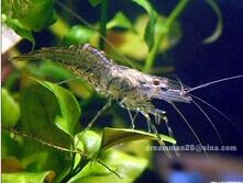 ��Ϻ��ֳ����