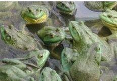 �������ܵ���������