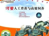 ��з�˹����缼��