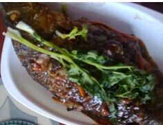 ơ�ƺ�����������Ƶ