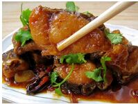 �����߿���������Ƶ