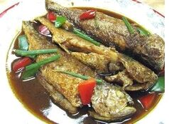 ����С����������Ƶ