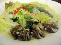 �����հײ�������Ƶ