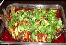 ������������Ƶ