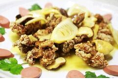 ��֦��צ���������ѧ