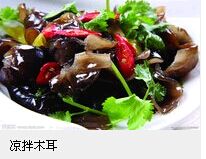 ����ľ��������Ƶ