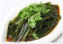 ���躣����������Ƶ