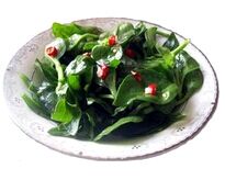 ���贩��������Ƶ