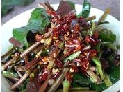 �������Ȳݵ�����