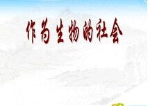 ��Ϊ��������-�������ı�����