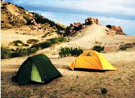 Ұ������ָ��-��������ѧԺ������