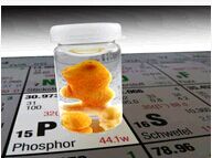 ��������-���Ŵ�ѧ������