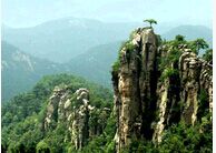 �������������-����ũҵ��ѧ������