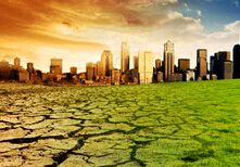 ͬ�۹����еĻ�����ѧ-����ʦ����ѧ������