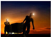 ú̿����Ч��������̬����-����������ѧ������